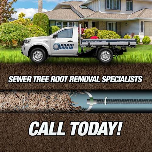 Sewer Tree Root Removal Specialists In Clontarf